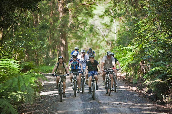 Mountain Biking Norther Rivers Australia